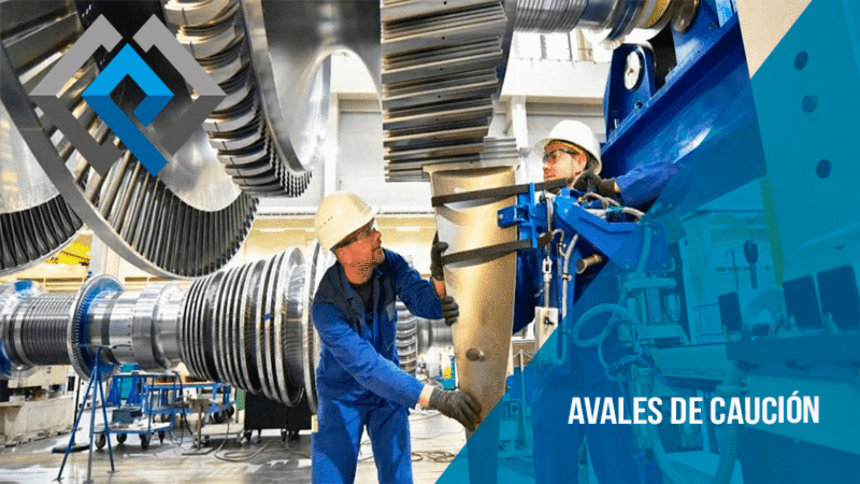 4-Avales de caución